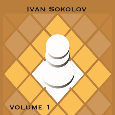 Boek Sokolov